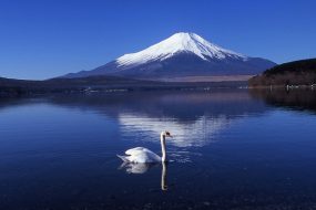 寮・社宅・保養所等の快適な居住空間のご提供について