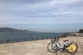 自転車保険への加入は必要？契約は義務なの？？