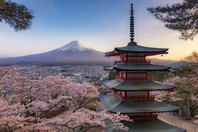 日本特有の木の文化と建築の歴史 日本特有の木の文化と建築の歴史