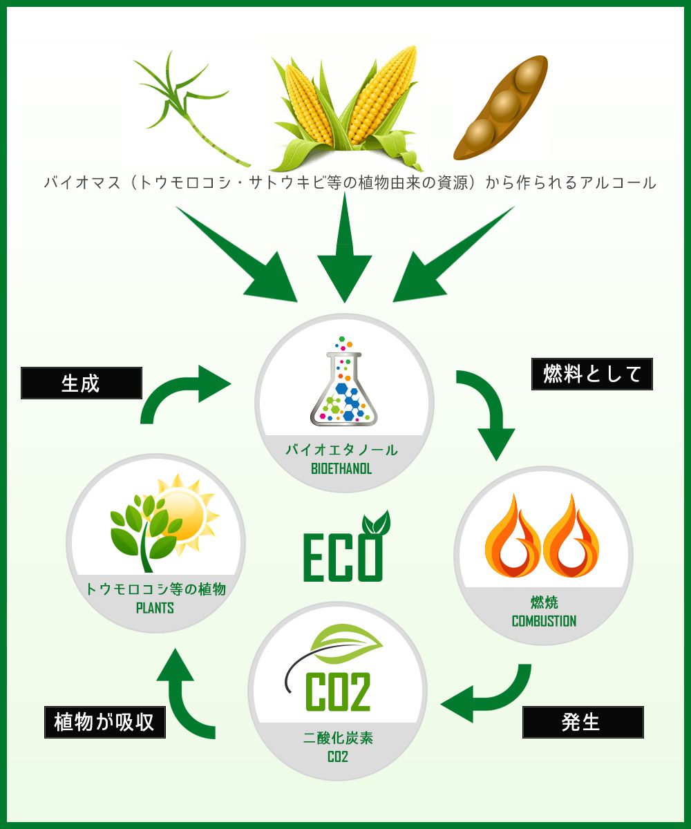 あなぶきが取り組むバイオエナジー事業 バイオマス燃料とは? あなぶきが取り組むバイオエナジー事業 バイオマス燃料とは?