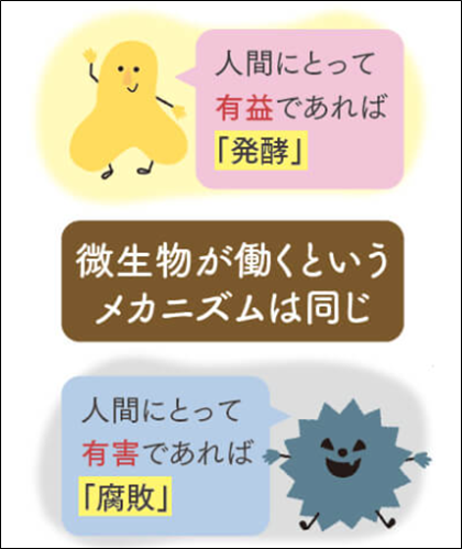 あなぶきが取り組むバイオエナジー事業 発酵との関係? あなぶきが取り組むバイオエナジー事業 発酵との関係?